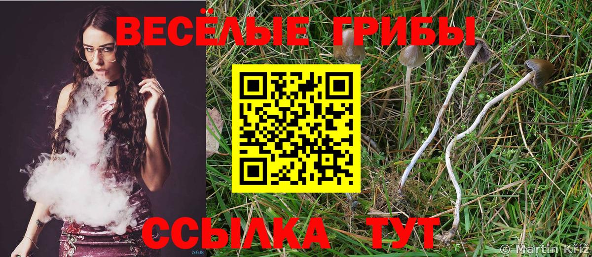 Воткинск  Псилоцибиновые грибы ЛСД  Вход с VPN  Галлюциногенные грибы MAGIC MUSHROOMS 
